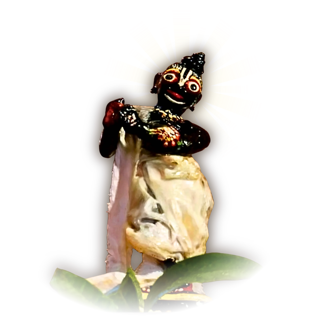 Sri Gopal Jiu